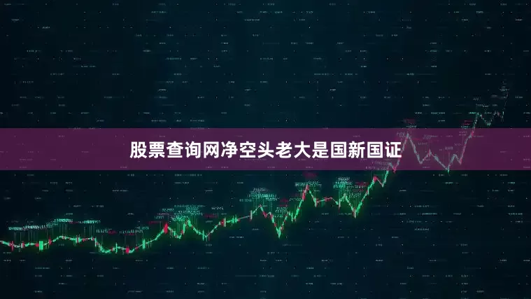股票查询网净空头老大是国新国证